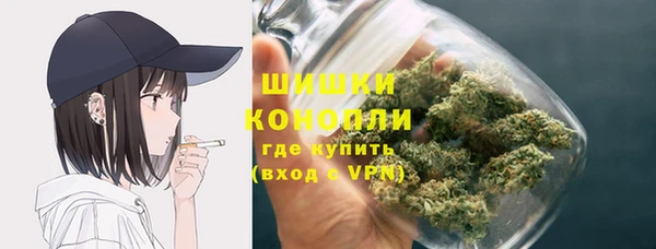 стаф Волоколамск