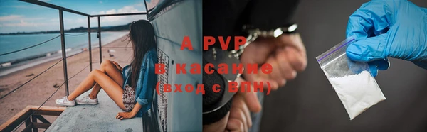 стаф Волоколамск