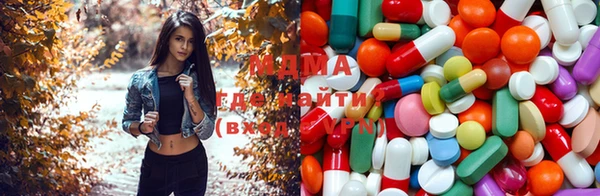 PSILOCYBIN Волосово