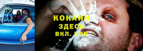 стаф Волоколамск