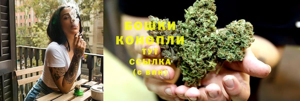 стаф Волоколамск