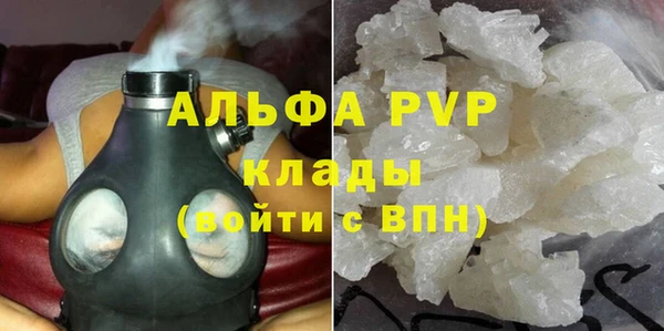 PSILOCYBIN Волосово