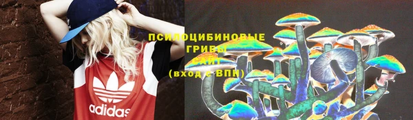 стаф Волоколамск
