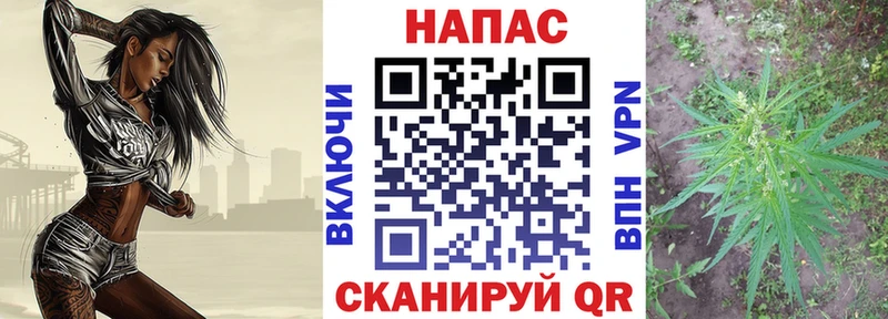 сколько стоит Пермь Канабис тримм